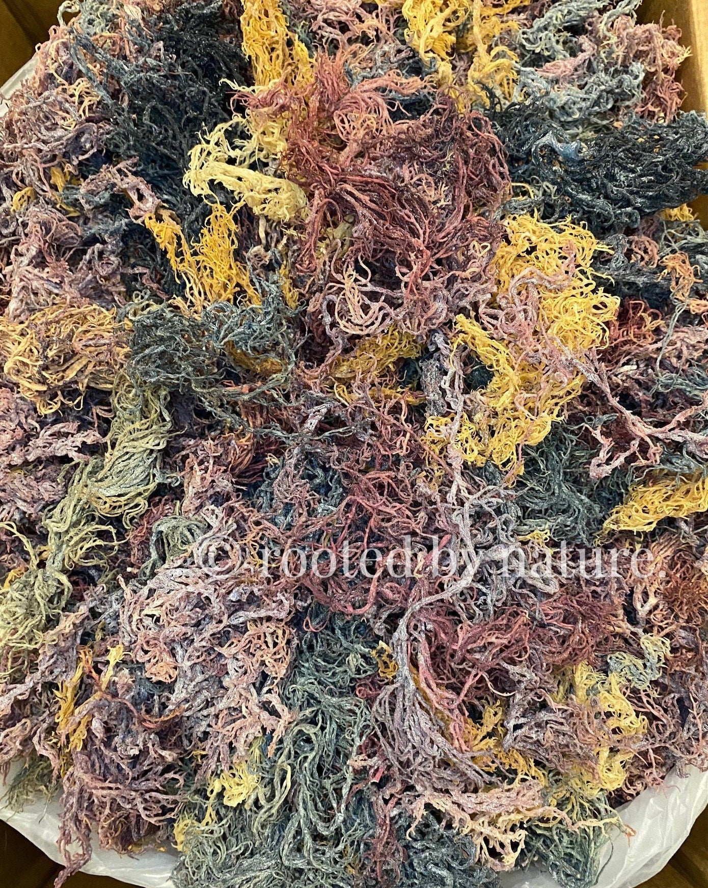 Wholesale Full Spectrum Mixed Sea Moss Raw