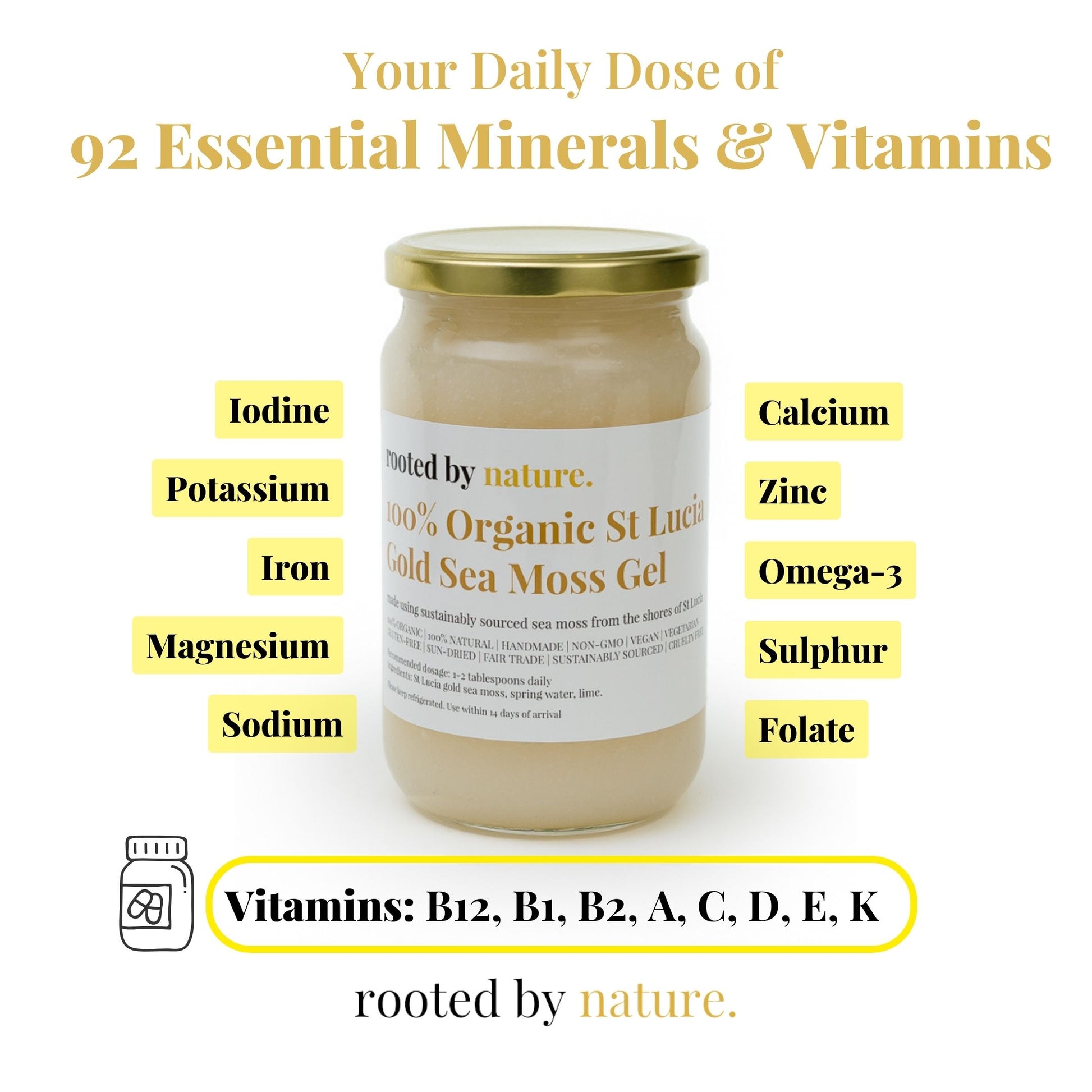 Sea moss essential minerals and vitamins