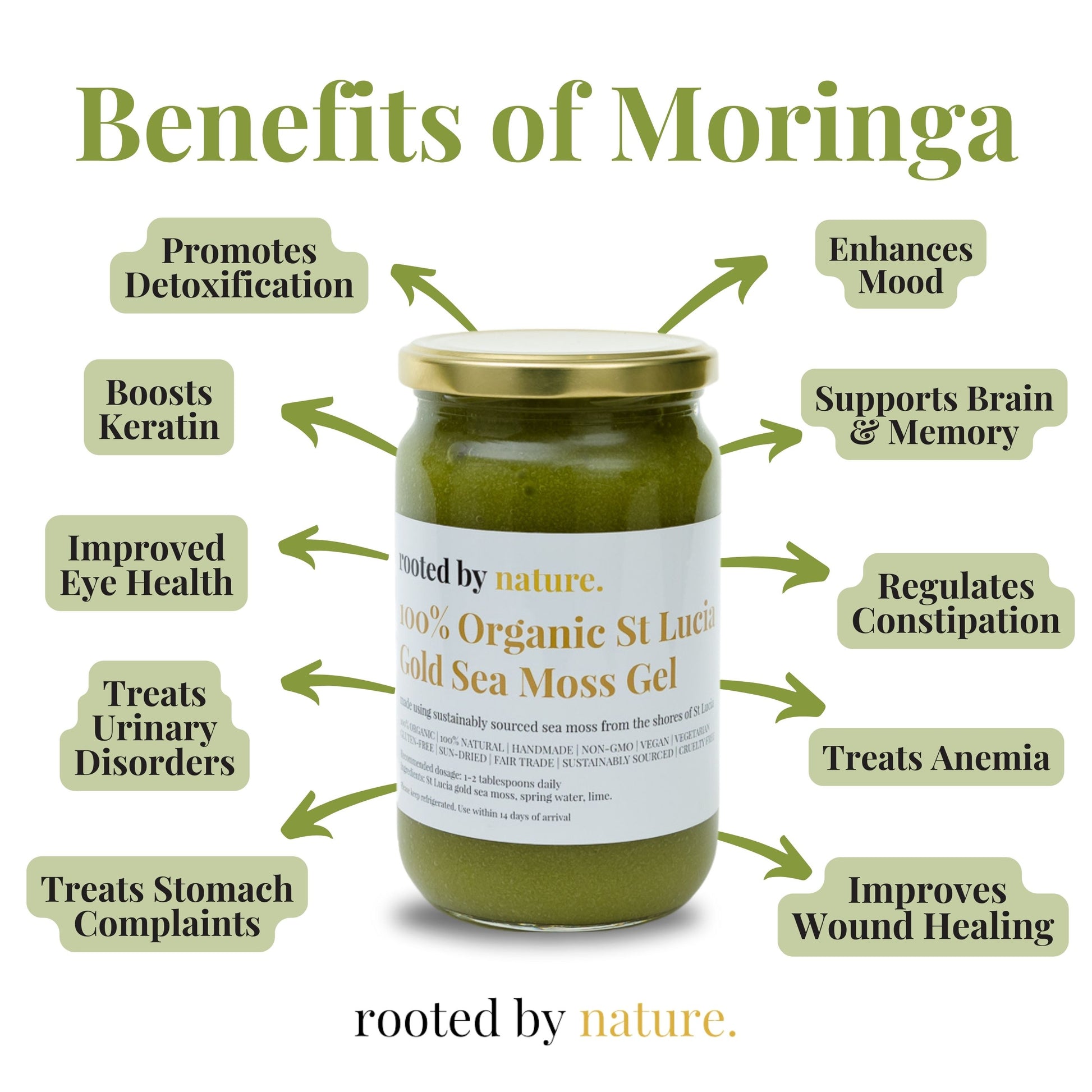 Benefits of moringa 