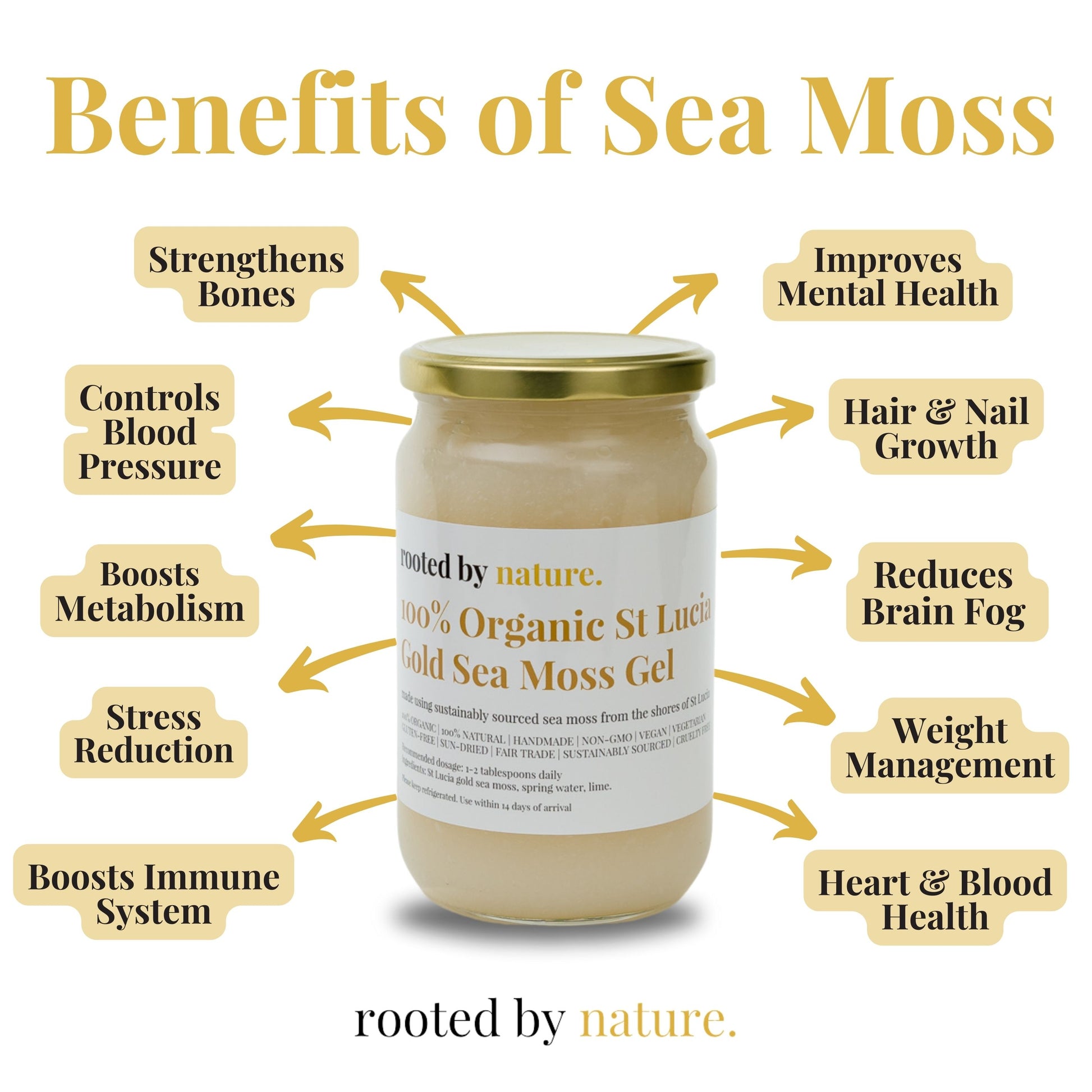 Benefits of Premium Gold Sea Moss Gel