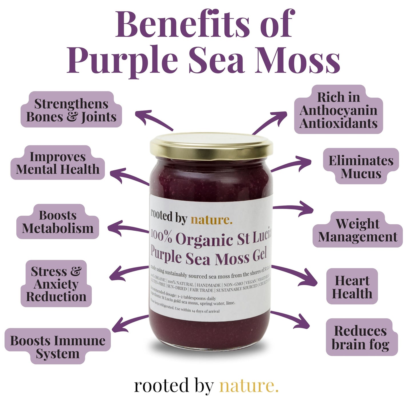 Benefits of purple sea moss 