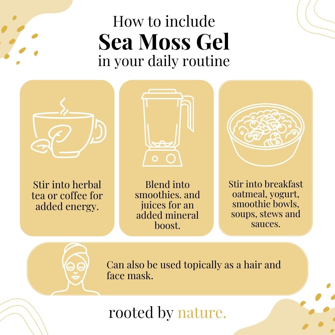 How to include Sea moss gel in your daily routine 