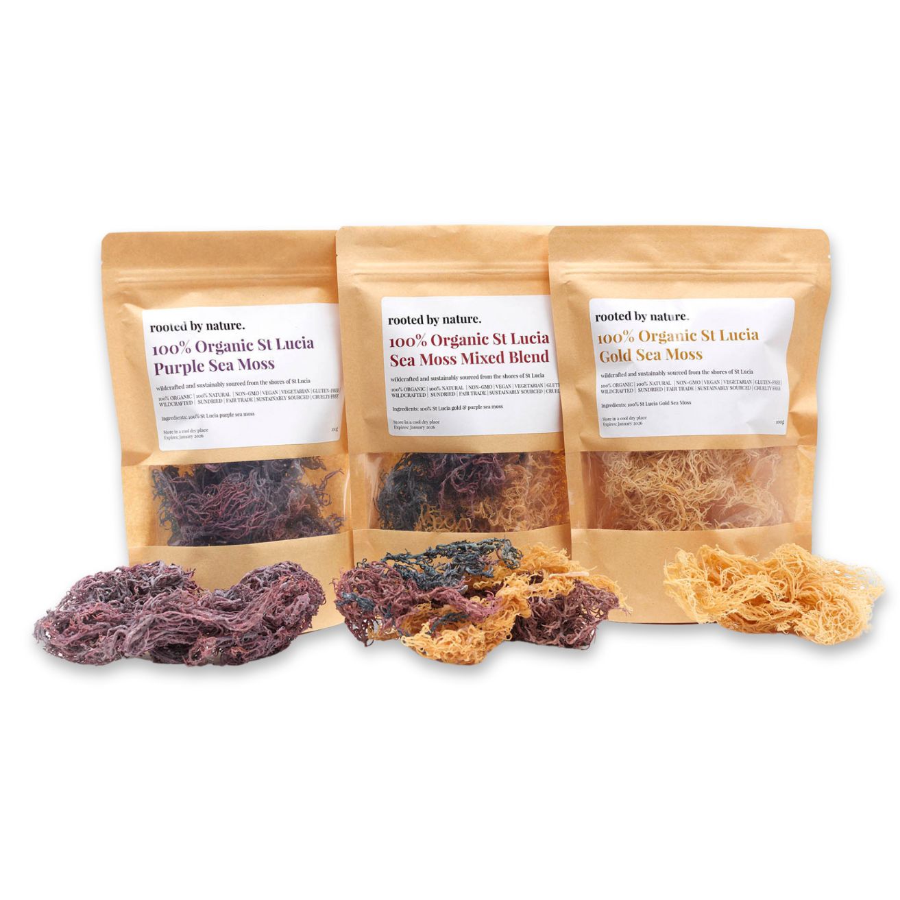 Raw Gold, purple and mixed Sea Moss Dried