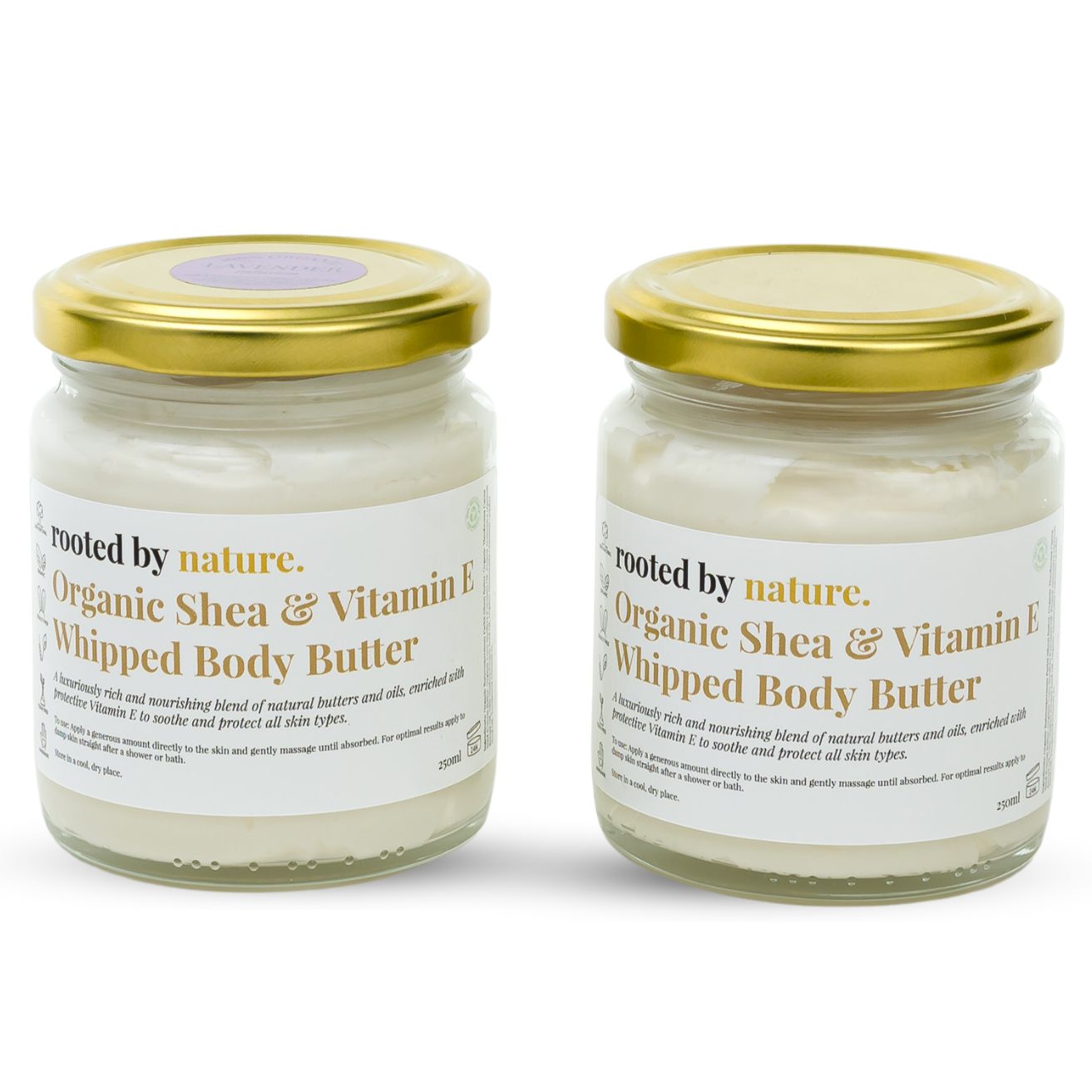 Organic Whipped Shea Butter with Organic Cocoa Butter, Jojoba and Vitamin E